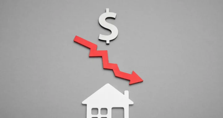 dollar sign with a red arrow point down placed above a house cutout on a grey background